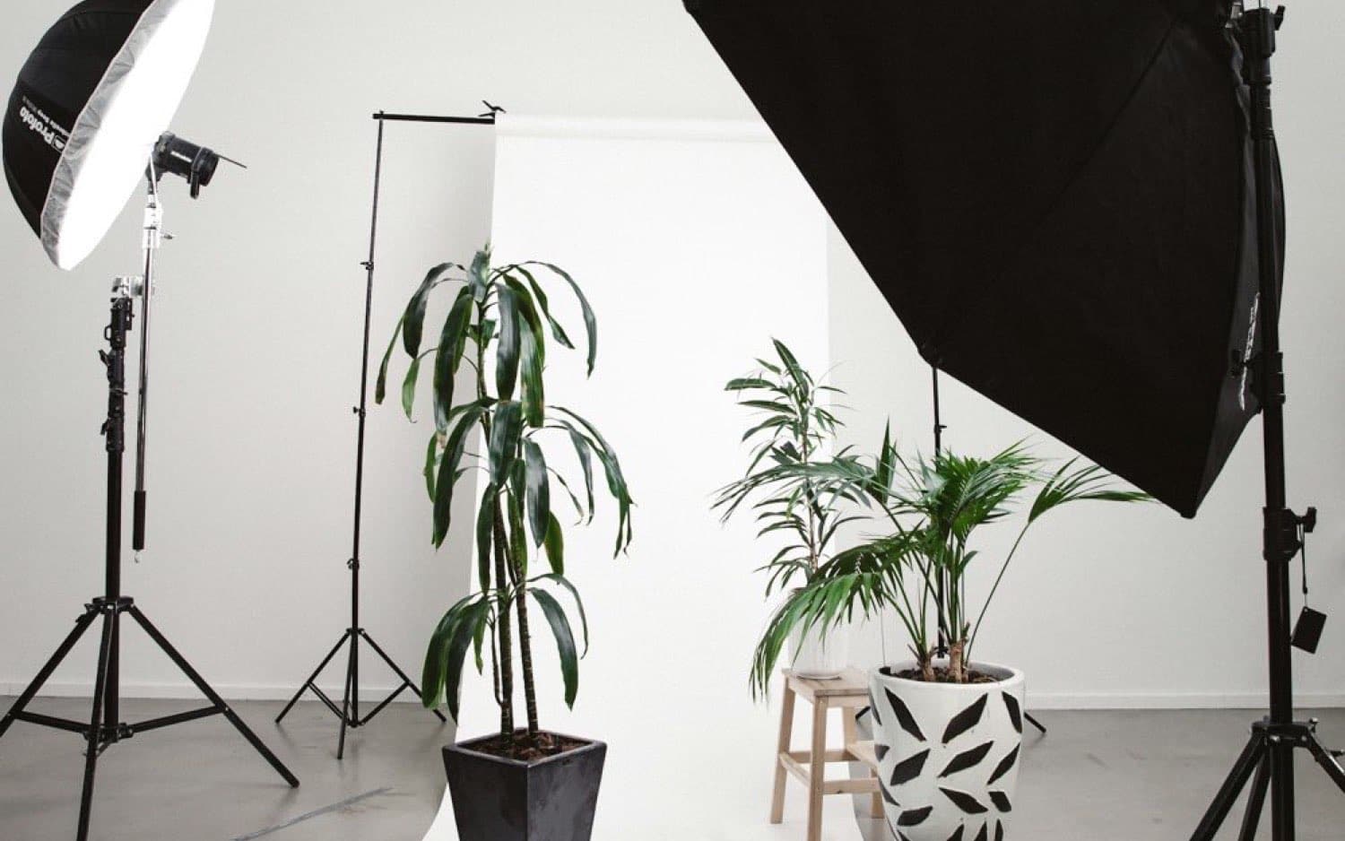 Atelier de reliure, Bagnolet